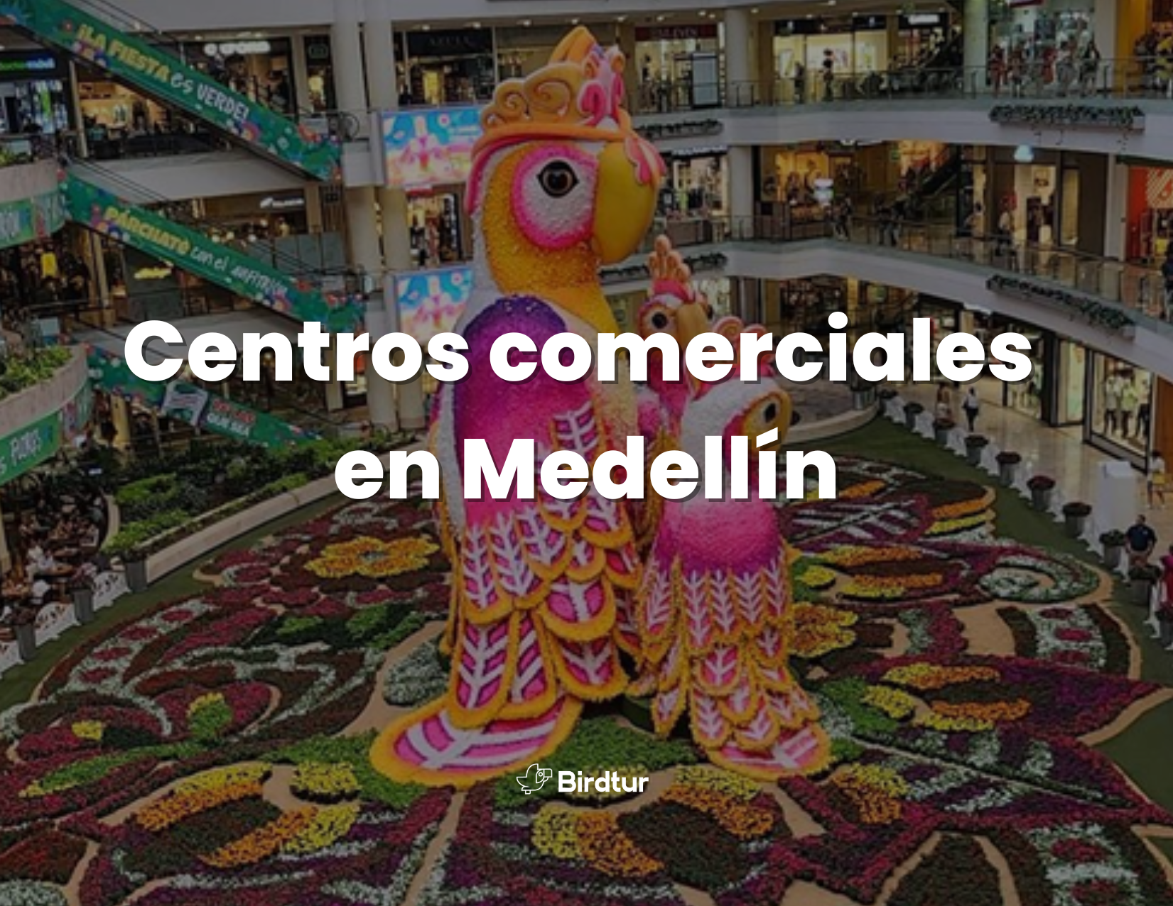 Centros comerciales en Medellín: lo mejor para comprar, pasear y disfrutar