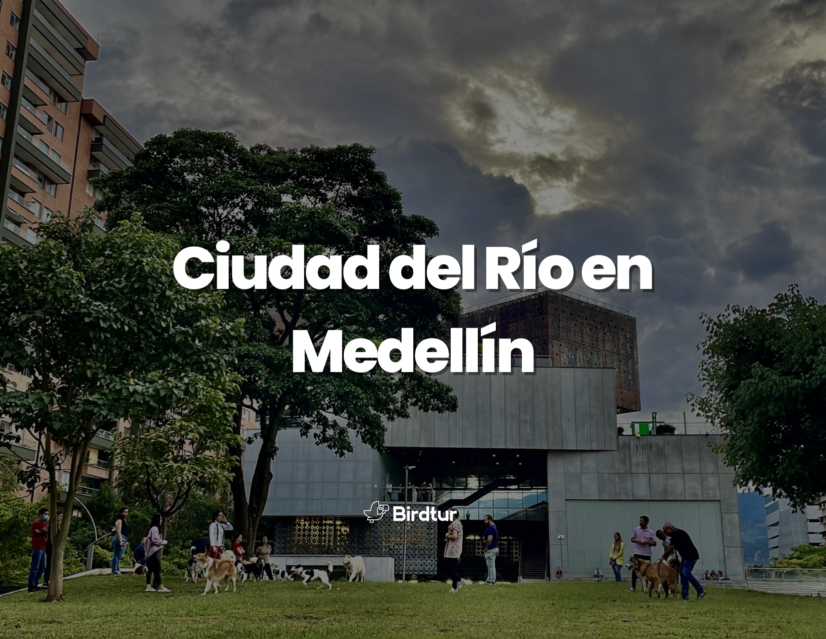 Ciudad del Río en Medellín: descubre el lugar más vibrante y cultural de la ciudad