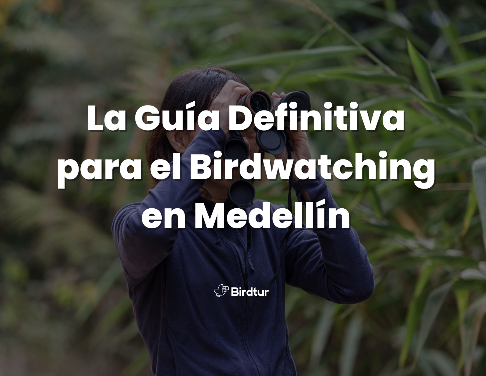 Birdtur Medellín: Guía para el Birdwatching en Medellín