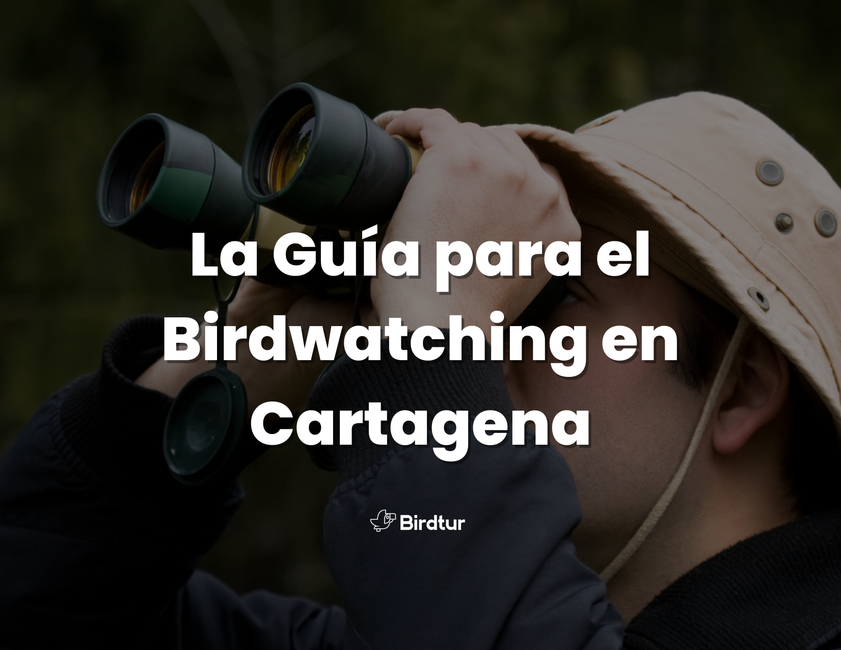 Birdtur Cartagena: Guía para el Birdwatching en Cartagena