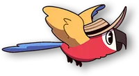 birdtur fly